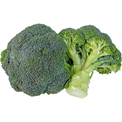 Cavolo Broccolo Bio