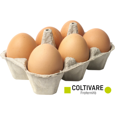 Uova da allevamento all'aperto conf.6